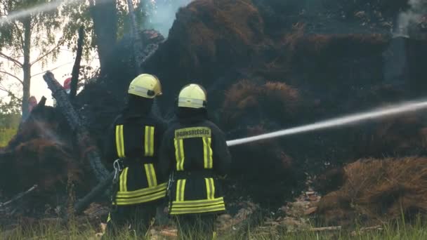 Fireman Extinguish Fire Hose Firefighters Put Out Burning Grain Forge — Vídeo de Stock
