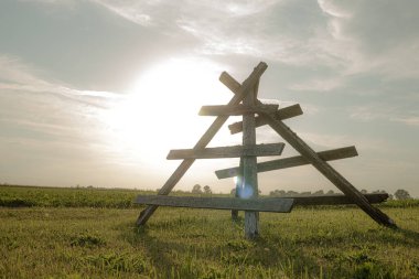 Hay branch sunset from old trees. The tree structure will delight dry grass. A branch of hay