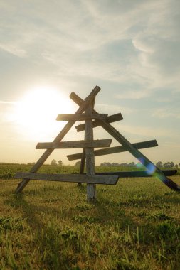 Hay branch sunset from old trees. The tree structure will delight dry grass