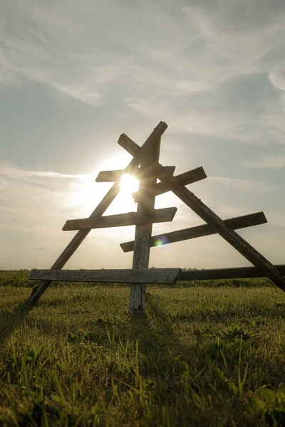 Hay branch sunset from old trees. The tree structure will delight dry grass