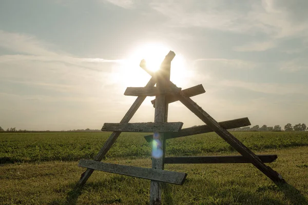 Hay Branch Sunset Old Trees Tree Structure Delight Dry Grass —  Fotos de Stock