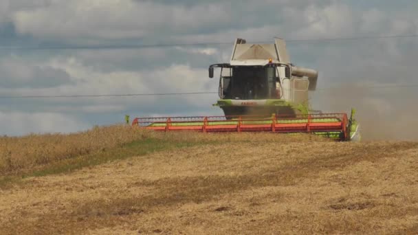 Combine Harvester Cultivates Grain Agricultural Machinery Works Grain Field — Stok video