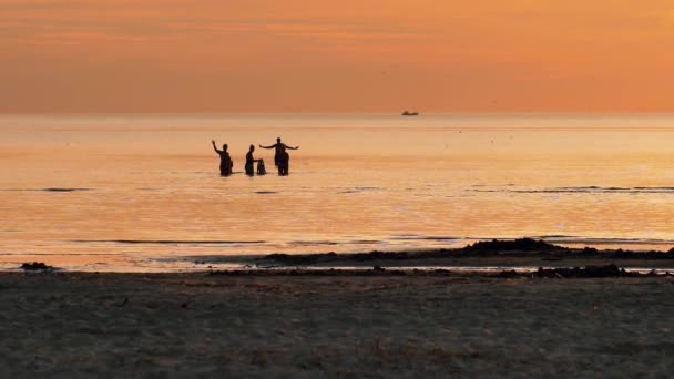 Silhouettes People Sea Sunset Family Swims Sea — Stok video
