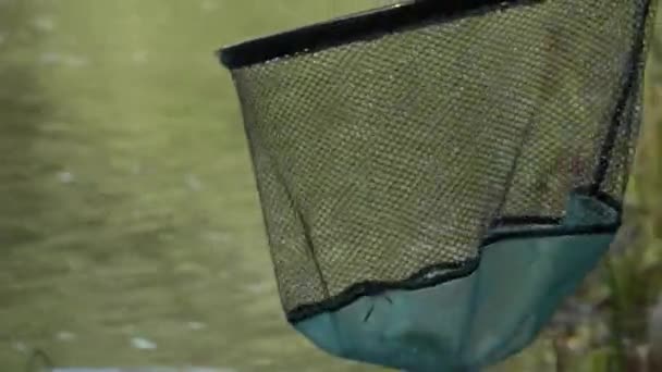 Rybář Chytá Ryby Řece Rotací Rybáři Břehu Řeky Losos Rybaření — Stock video