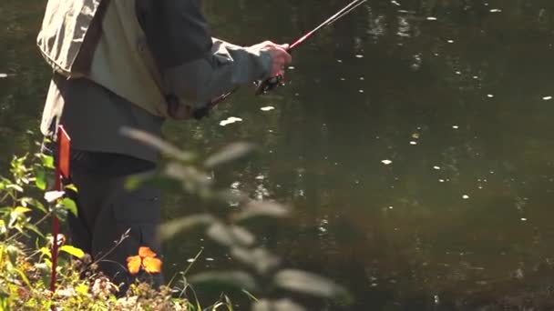 Pescador Atrapa Peces Río Girando Pescadores Orilla Del Río Pesca — Vídeos de Stock