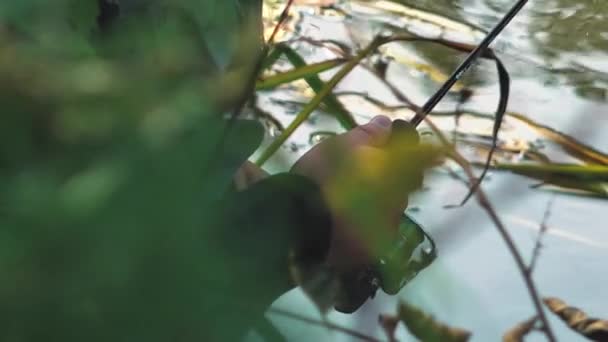 Pescador Atrapa Peces Río Girando Pescadores Orilla Del Río Pesca — Vídeos de Stock