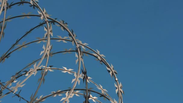 Szögesdrót Kerítés Határfal Országok Között Szögesdrót Kerítés Börtön Körül Országok — Stock videók