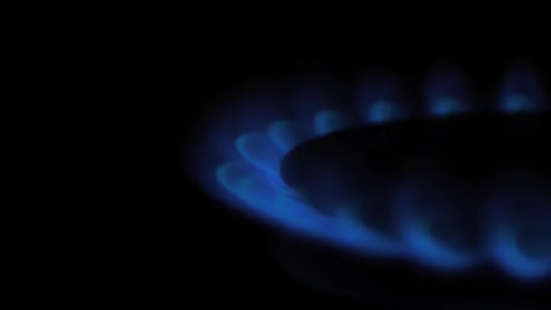 气用蓝色的火焰燃烧 全球天然气危机 有选择地聚焦在火焰上 把注意力集中在图片上 住房用天然气 — 图库视频影像
