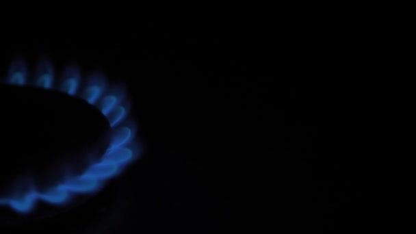 Gas Burns Blue Flames Gas Crisis World Selective Focus Flame — Stock Video