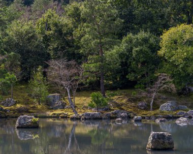 Büyük bir taşla nehrin güzel manzarası, ağaçların yansıması ve göl..