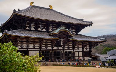 Todai ji tapınağı Nara, Japonya.