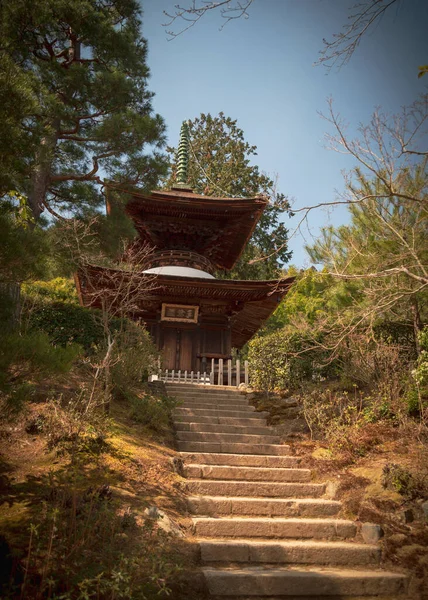 Прекрасний Дерев Яний Храм Кіото Японія — стокове фото