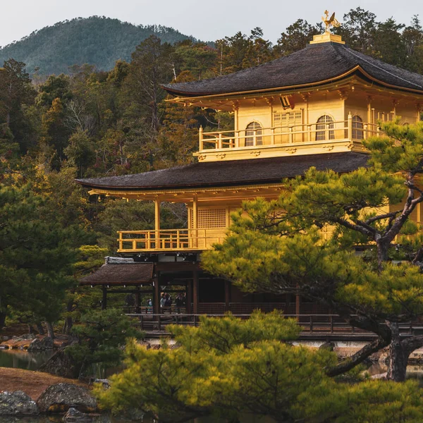 Золотий Павільйон Кіото Японія Чудовий Вид Павільйон — стокове фото