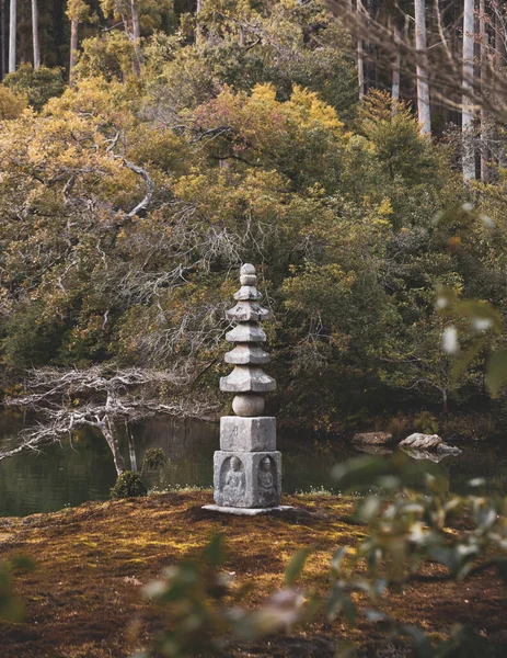 Біла Змія Всередині Золотого Павільйону Кіото Японія — стокове фото