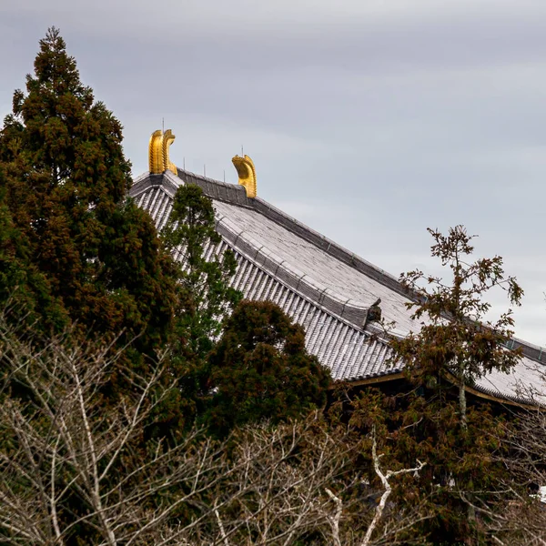 Дах Храму Тодай Дзі Нара Японія — стокове фото