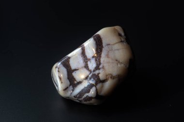 Zebra jasper, kahverengi ve beyaz chalcedony yuvarlanan taş makro siyah zemin üzerinde izole