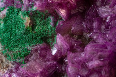 Siyah bir yüzeye izole edilmiş koyu yeşil malakit kristal makrosu olan canlı pembe kobalto kalsit.