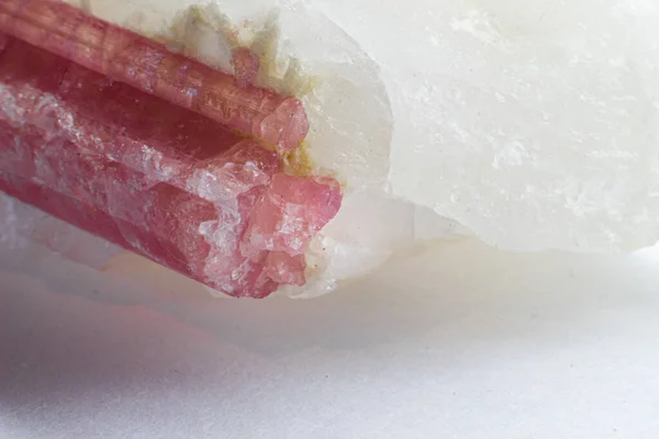 Макросъемка Rubellite Розовый Турмалин Белом Кварце Изолированы Белом Фоне Розовый — стоковое фото
