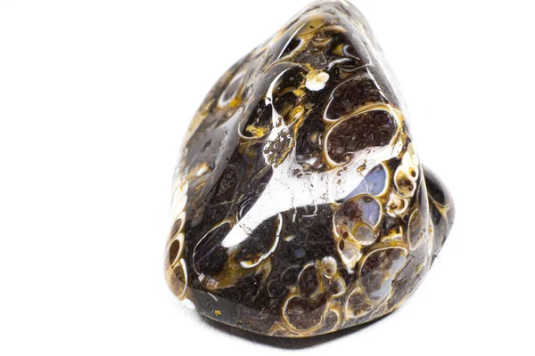 Real Tumbled Brown Black Turitella Agate Chalcedony Crystal Stone Macro — Stock Photo, Image