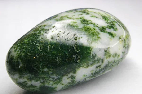 Tumble Agate Arbre Tumble Agate Dendritique Verte Blanche Tumble Cristal — Photo