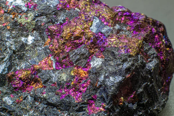 侧重宏观原色金黄色 粉色和紫色黄铜矿孔雀石矿石 灰色背景分离 — 图库照片