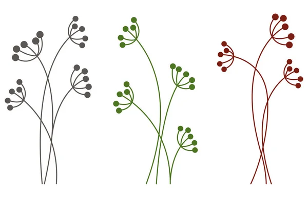 Uppsättning Växter Med Racemes Vektor Isolerad Botanisk Illustration — Stock vektor