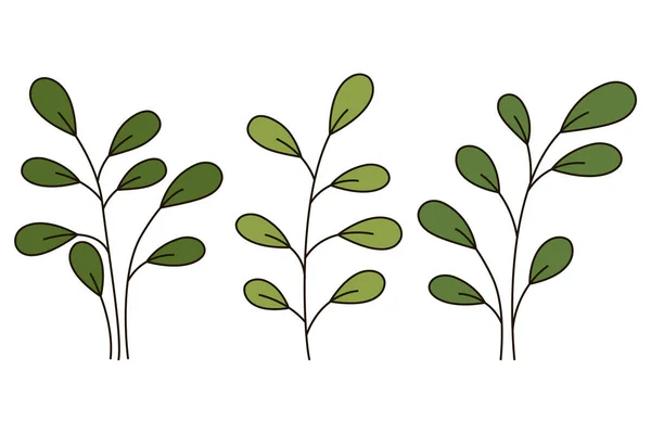 Ensemble Branches Aux Feuilles Vertes Illustration Vectorielle Isolée — Image vectorielle