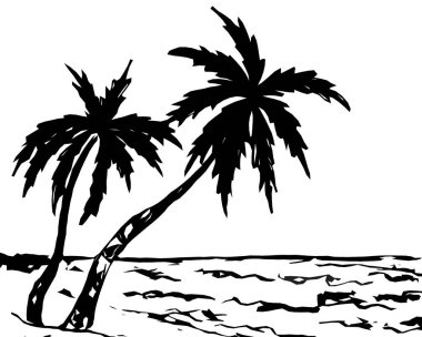Plajdaki iki palmiye ağacının siyah siluetleri.