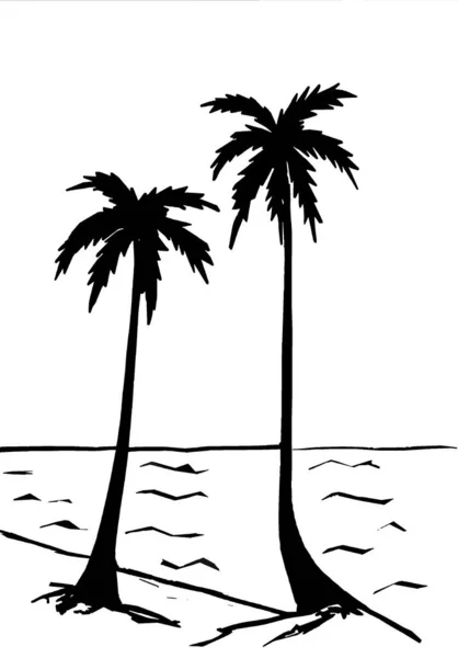 Beyaz Arka Planda Iki Palmiye Ağacının Siyah Siluetleri — Stok fotoğraf