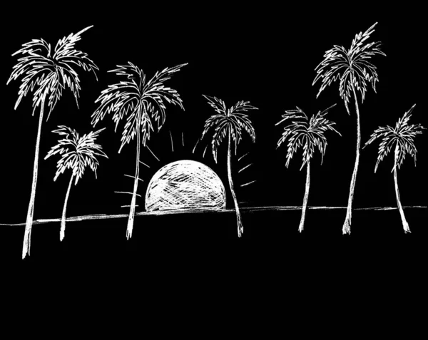 Tropical Landscape White Palm Trees Black Background — Stock Photo, Image