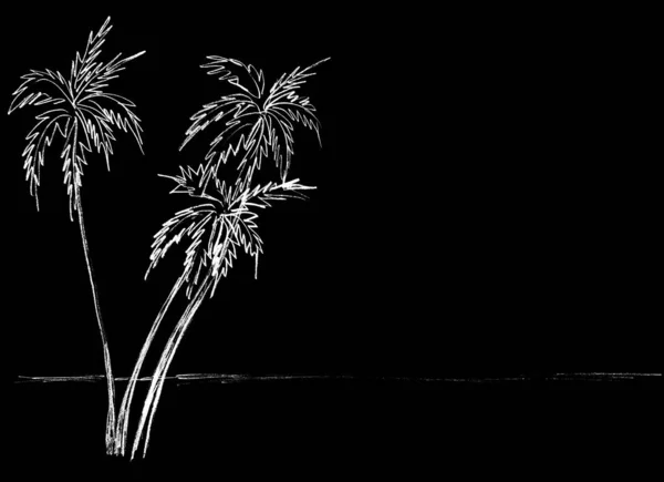 Пейзаж Белыми Пальмами Черном Фоне — стоковое фото