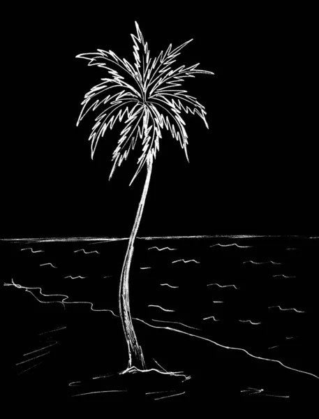 海滨棕榈树 图形图像 — 图库照片