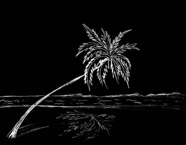  Sahildeki bir palmiye ağacının grafiksel görüntüsü.