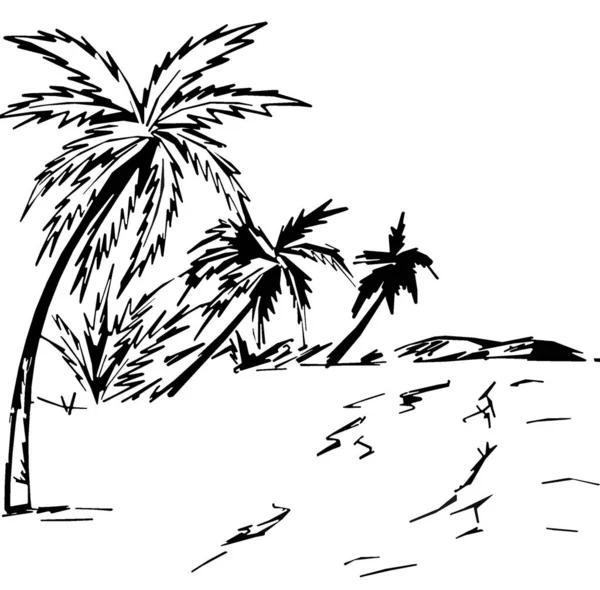 Black Whitetropical Landscape Palm Trees — Stock Photo, Image