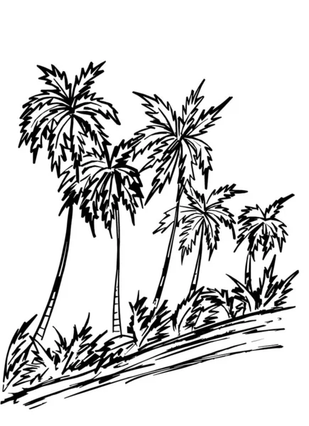 Beyaz Arkaplanda Siyah Palmiye Çizgisi — Stok fotoğraf