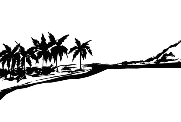 Abstract Image Palm Trees Black White Background — Stock Photo, Image