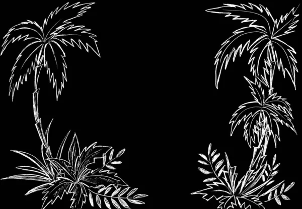 三棵棕榈树和热带植被是白色的 背景是黑色的 — 图库照片