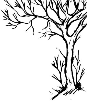 Beyaz arkaplan grafik resmi üzerinde yapraksız bir ağacın siyah çizgisi