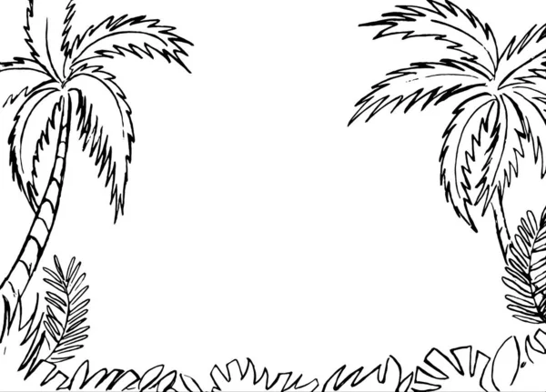 白色背景下棕榈树和热带植物的黑色轮廓 — 图库照片