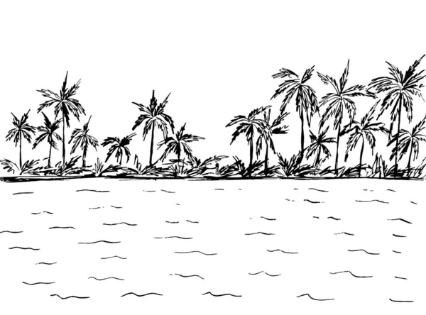 Palmy Malované Černě Bílém Pozadí Stock Snímky