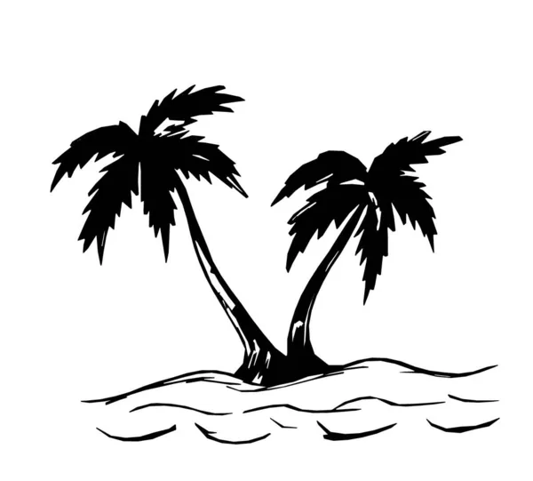 Beyaz Arka Planda Siyah Palmiye Silueti — Stok fotoğraf