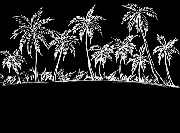 带有黑色背景的白色棕榈树的景观 — 图库照片