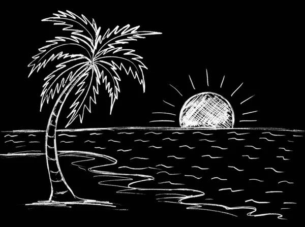 Palmiye Ağaçları Siyah Arka Planda Beyaz Güneş Manzarası — Stok fotoğraf