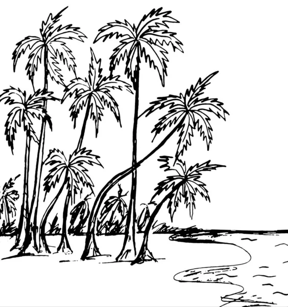 带棕榈树的热带景观 — 图库照片