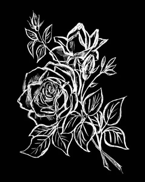 Uma Bela Flor Rosa Branca Fundo Preto — Fotografia de Stock