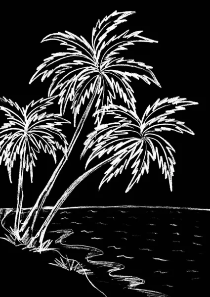 Пейзаж Білими Пальмами Чорному Тлі — стокове фото