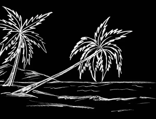 Paysage Avec Des Palmiers Blancs Sur Fond Noir — Photo