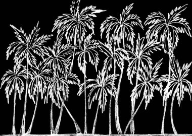  Siyah arka planda beyaz palmiye ağaçları olan manzara