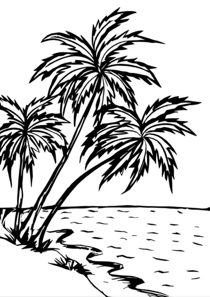  Three palm trees drawn with a black outline