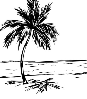  palm trees on the beach - black outline on a white background